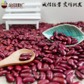 Chine Fabricant Gros rouge foncé haricot prix